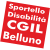 CGIL Belluno - Servizi - Ufficio handicap